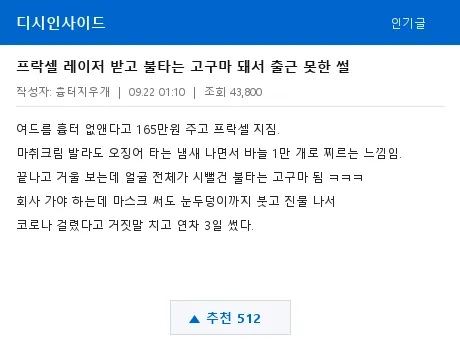 디시인사이드 피부갤러리 프락셀 후기 캡처