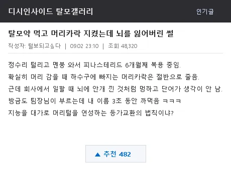 디시 탈모갤러리 브레인포그 후기 캡처