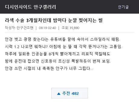 디시 안구갤러리 라식 부작용 후기 캡처