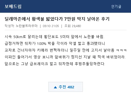 보배드림 딜레마존 신호위반 썰 캡처